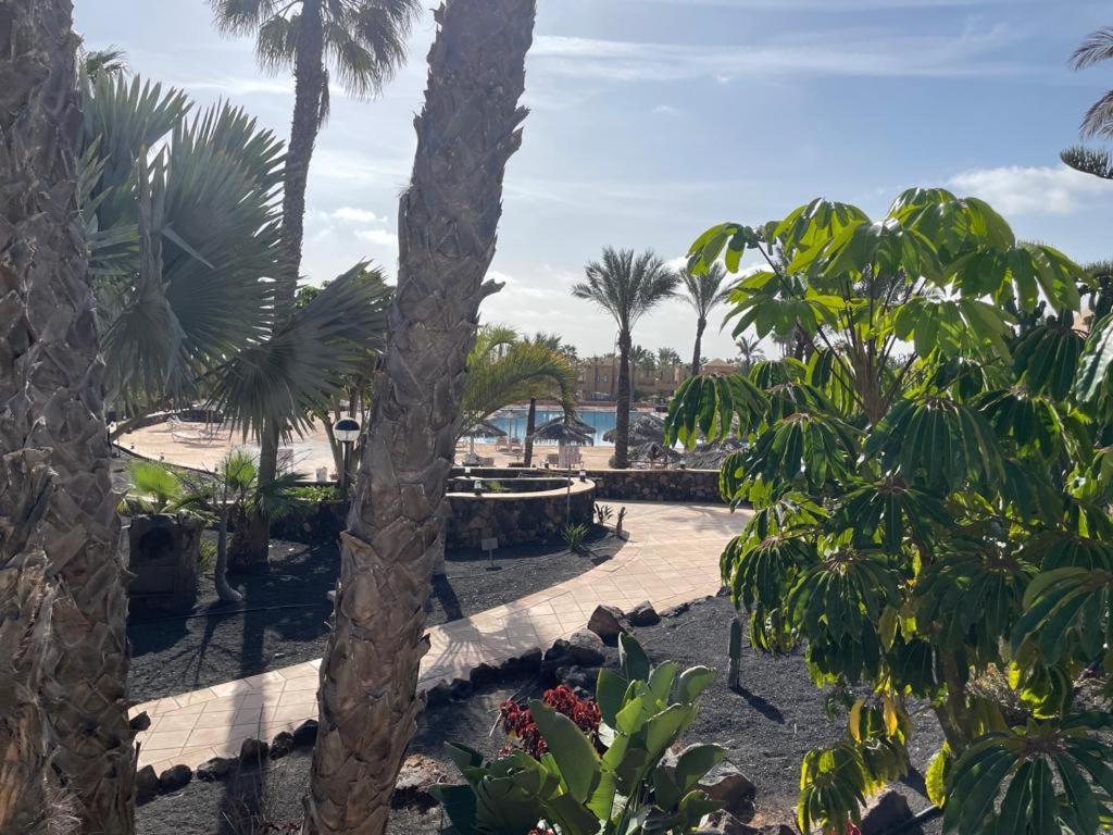 Casa Mari Y Jose Con Grandes Piscinas Y Wifi Gratis Lejlighed Corralejo Eksteriør billede